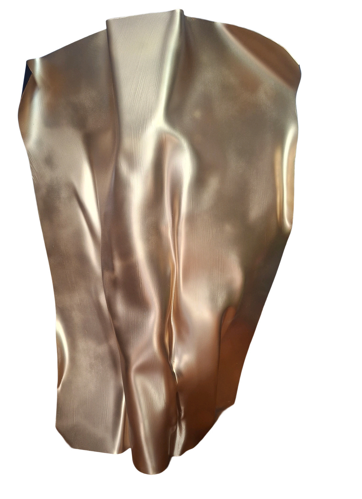 The Gilded Mask